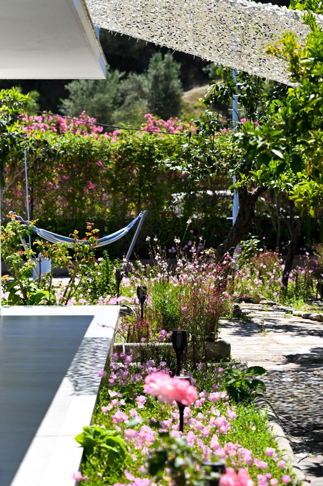 Anchor Villa Troulos Extérieur photo